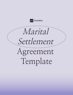 Marital Settlement Agreement Template