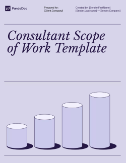 Consultant Scope of Work Template