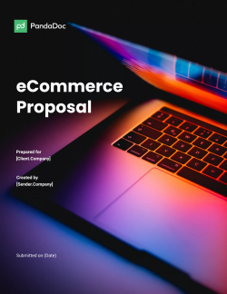Ecommerce Website Design Proposal Template