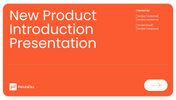 New product launch Presentation Template