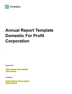 Annual Report Template – Domestic for Profit