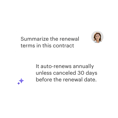 AI Assistant Summarization Prompt