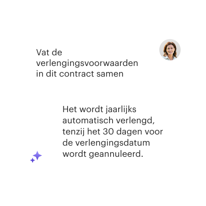 NL: AI Assistant Summarize