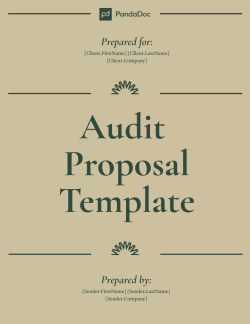 Audit Proposal Template