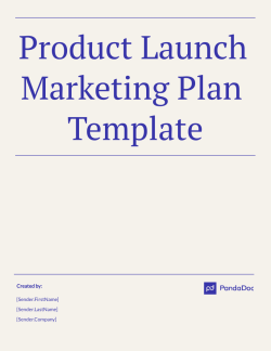 Product Launch Marketing Plan Template