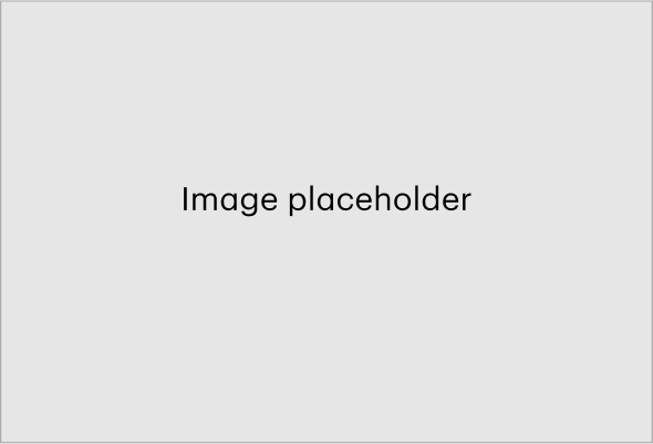 Banner Logos Title