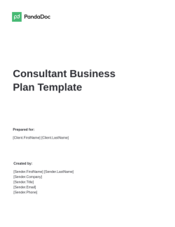 Consultant Business Plan Template
