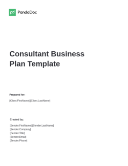 consultancy business plan example