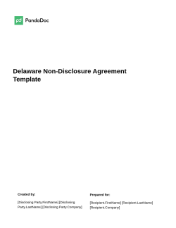 Delaware Non-Disclosure Agreement Template