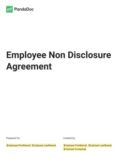 Employee non disclosure agreement