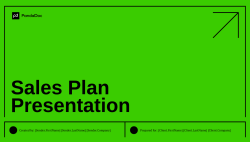 Sales Plan Presentation