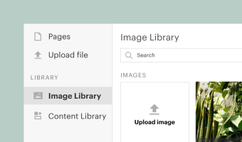 Store images and other media in your library