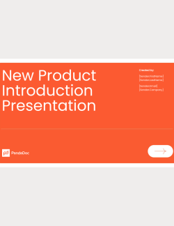 New product launch Presentation Template