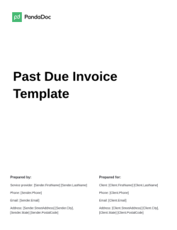 Past Due Invoice Template