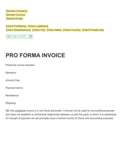 Pro Forma Invoice