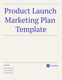 Product Launch Marketing Plan Template