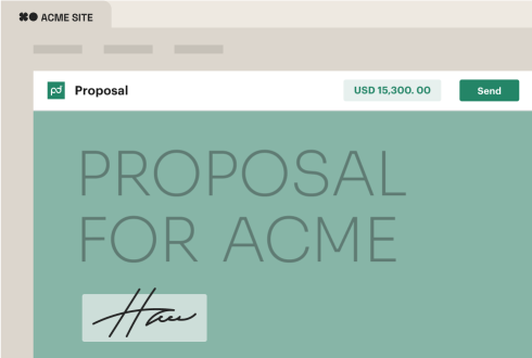 proposal-for-acme