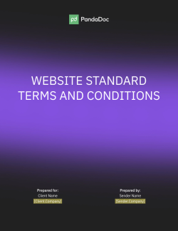 website standart terms and conditions