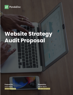 website strategy audit proposal